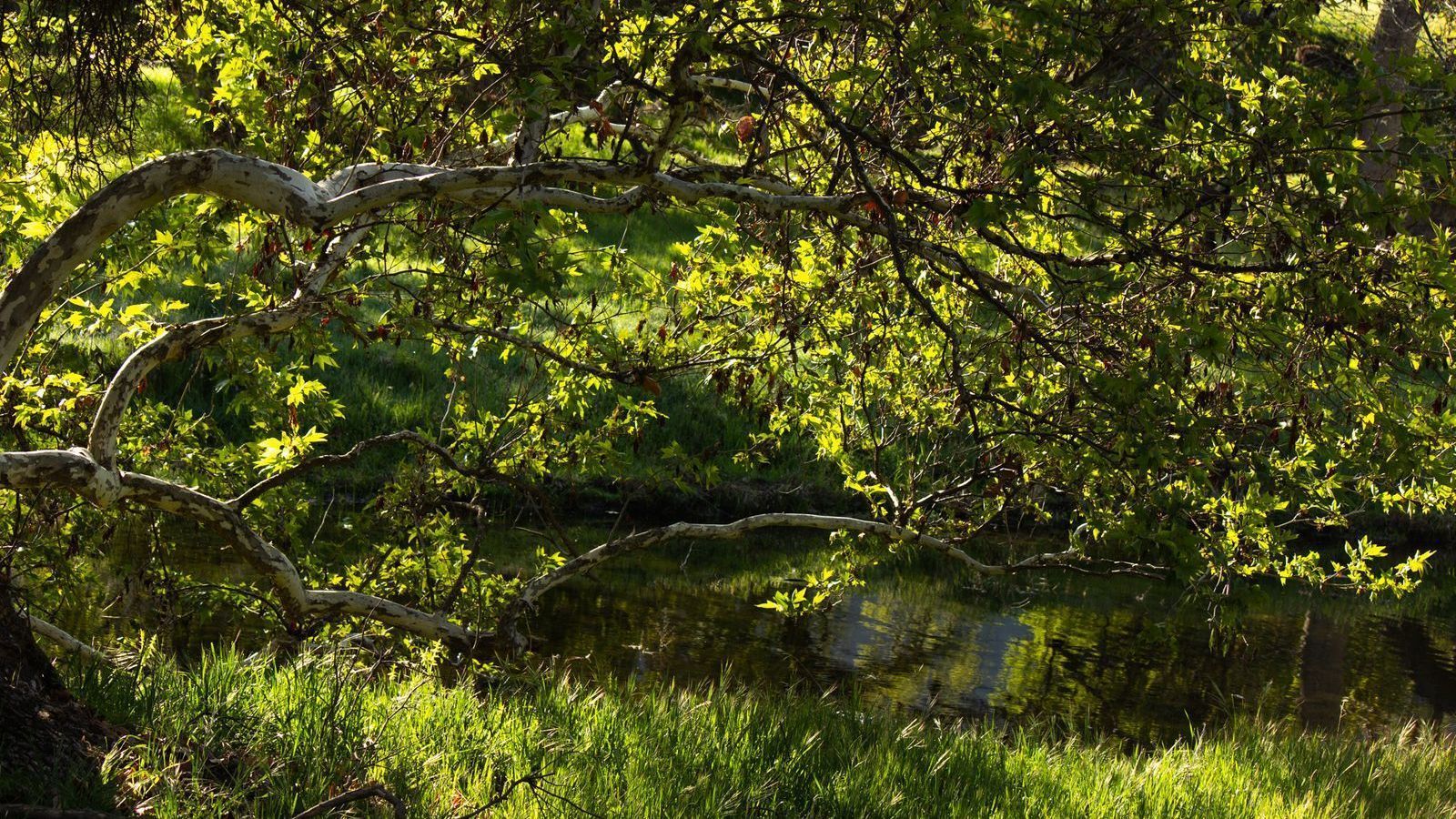 Get outside!