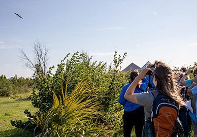 Moody Gardens Bird Survey