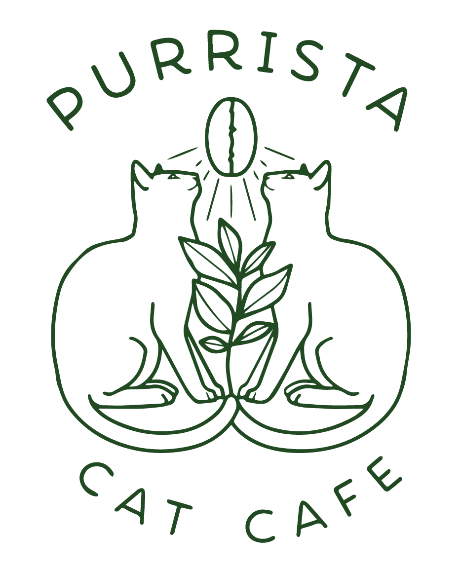 Purrista Cat Cafe