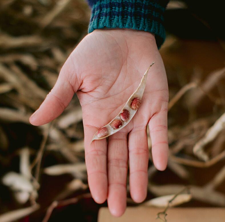 Winter Grains & Staples CSA