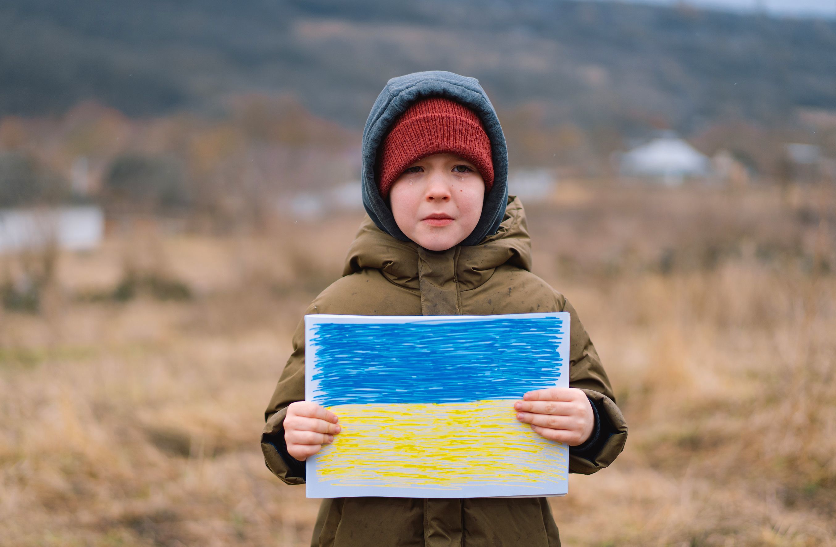 On the Crisis in Ukraine