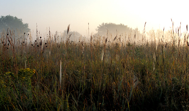 Visit Grand Island : Nebraska Prairie