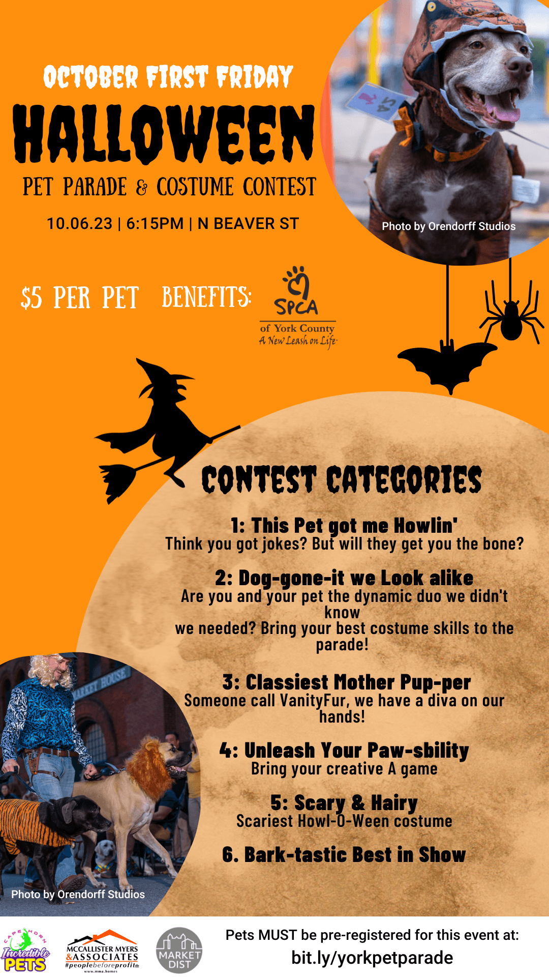 Halloween contest for pets!