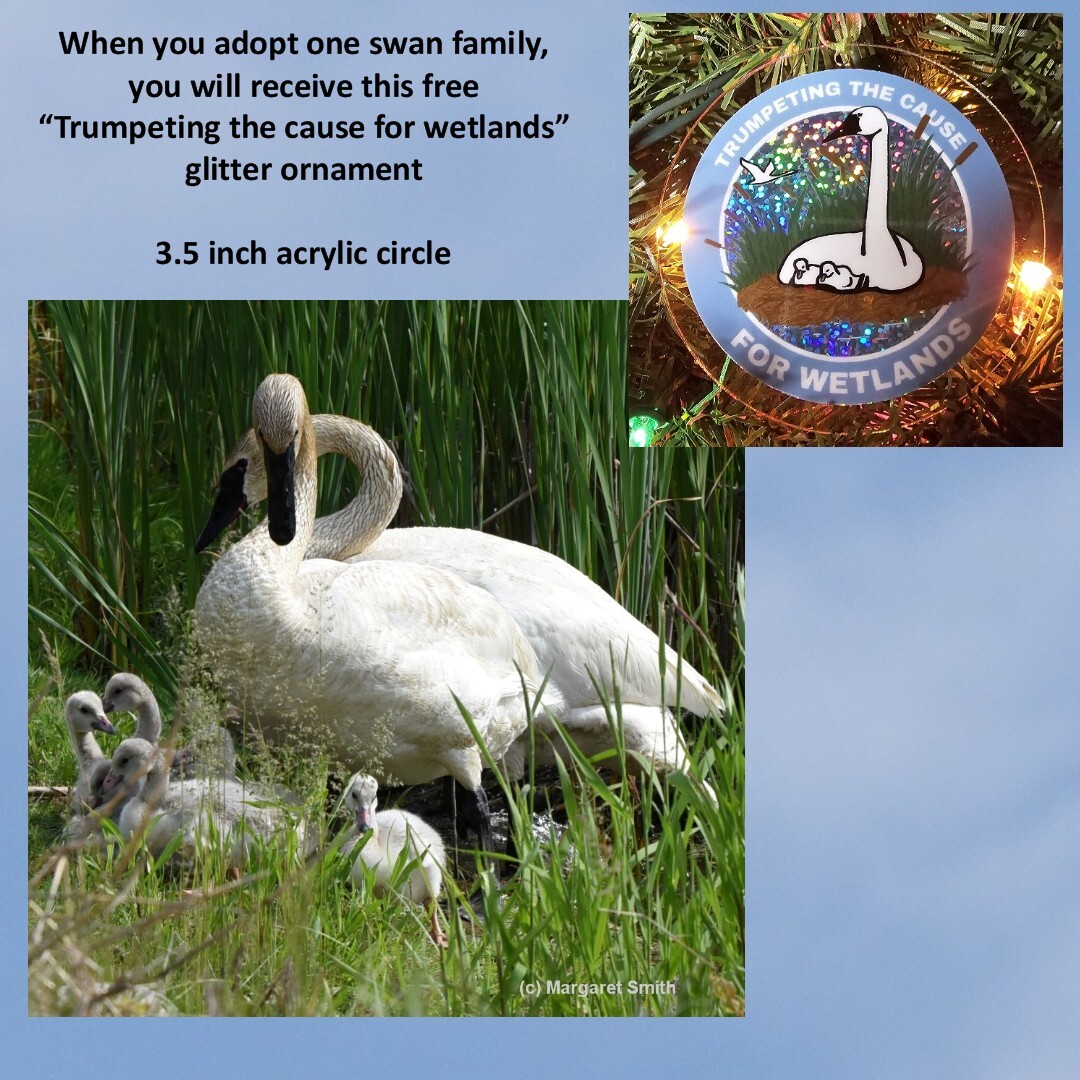 Adopt One Swan Family for health and safety