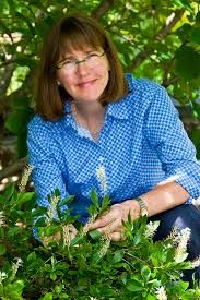 Protecting Bees and Pollinators with Kim Eierman