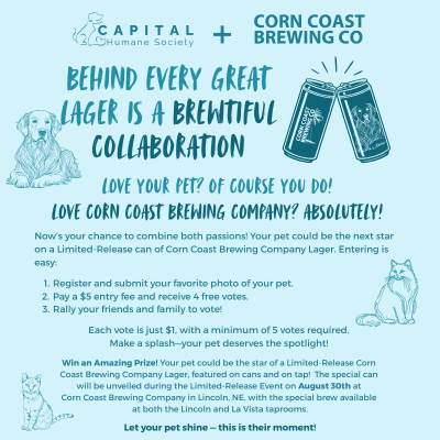 Brewtiful Photo Contest