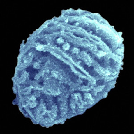 Mitochondrial Medicine 2019