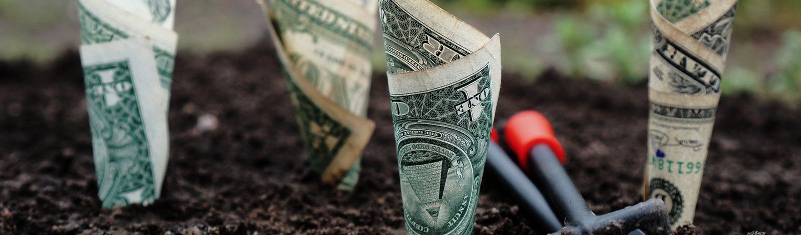 Photo of dollar bills rolled up and planted in fresh dirt, as if they were plants. Two gardening tools with red handles and black bodies sit between two rolled up bills on the right side.