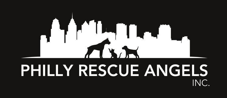 Philly Rescue Angels