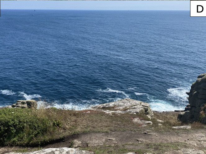 A remarkable Cornish site for ground-nesting bees and wasps