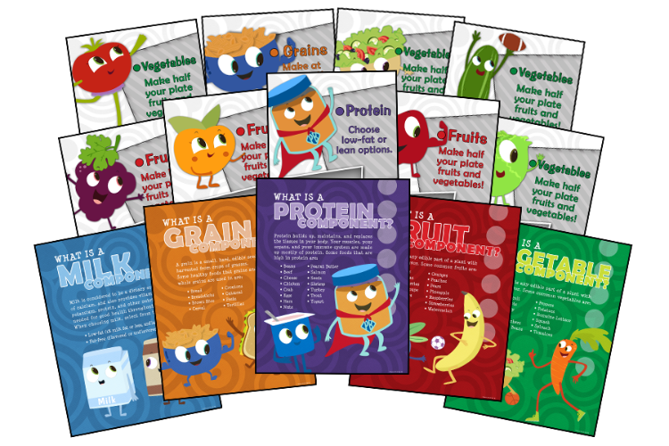 Close up image of 14 nutrition facts inserts for Eat Your colors, what is a fruit, what is a protein