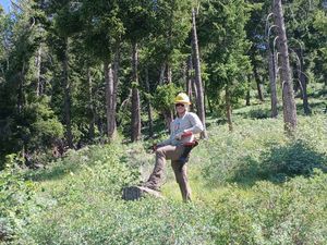 Restoration with the BLM
