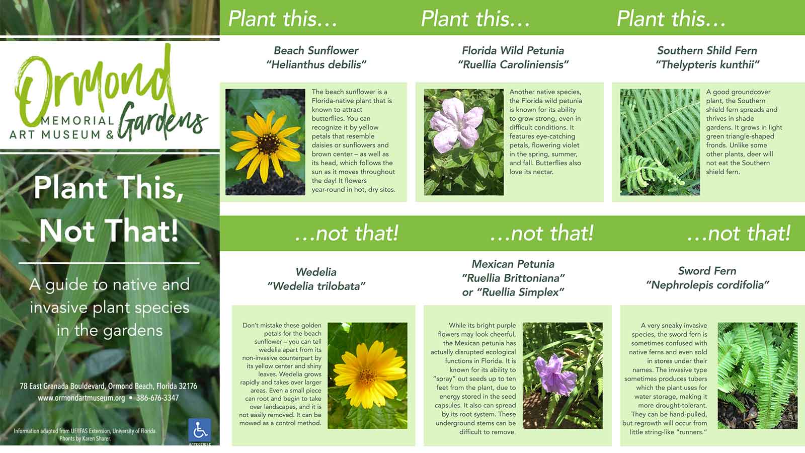 Plant This Not That | Ormond Art Museum & Gardens