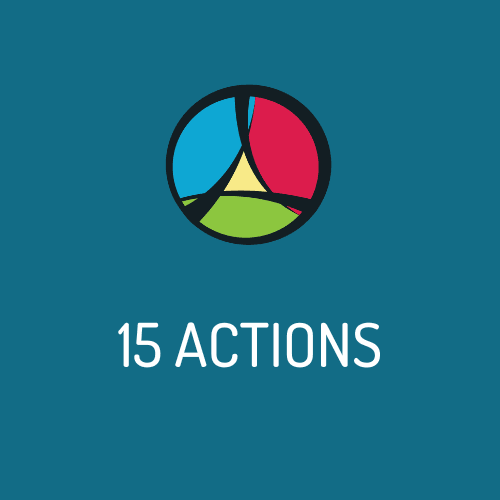 15 Actions