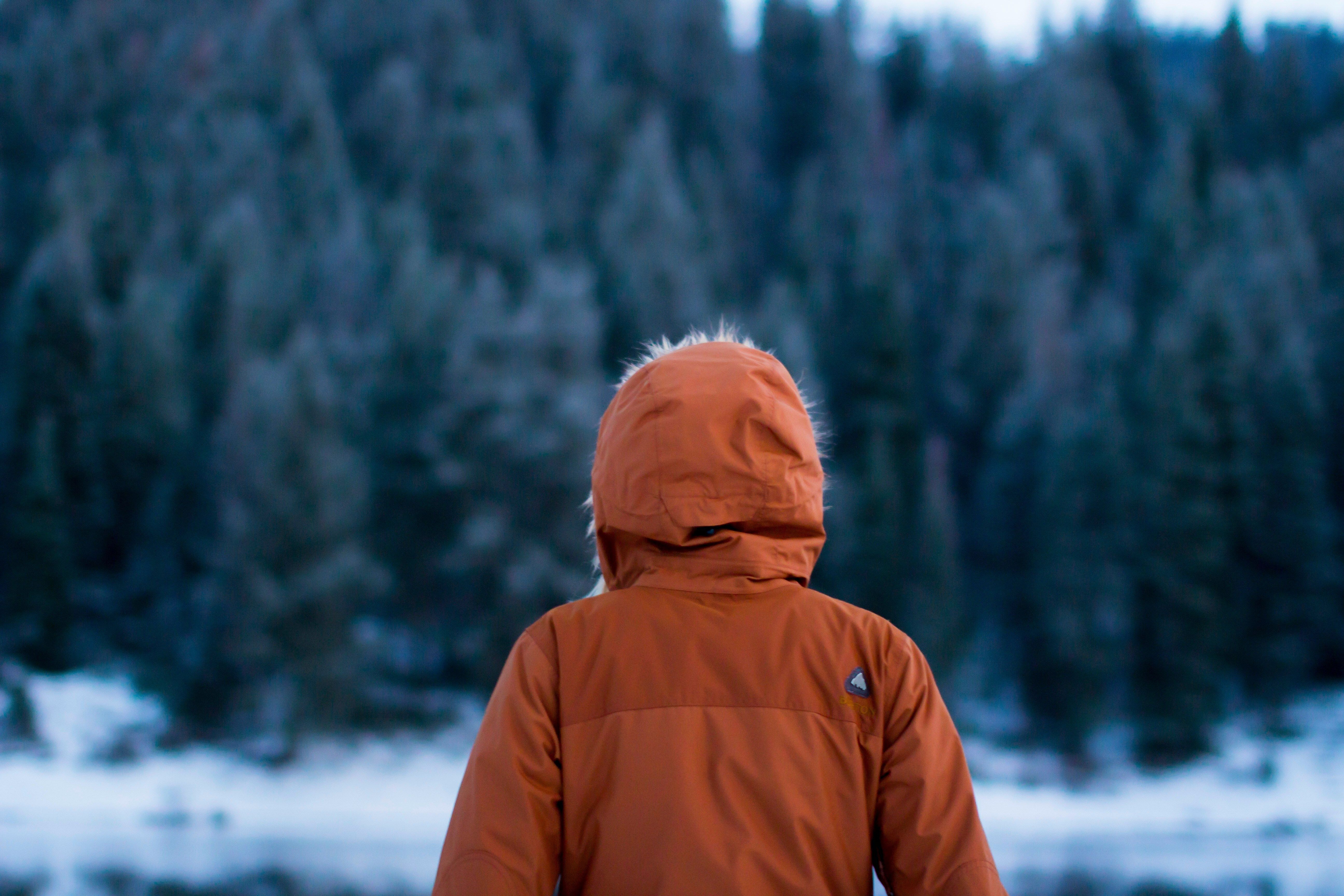 Person staring at a snowy forest