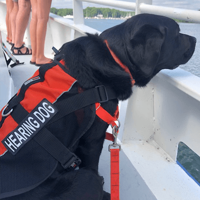 IHDI Hearing Dog Henson on Ferry