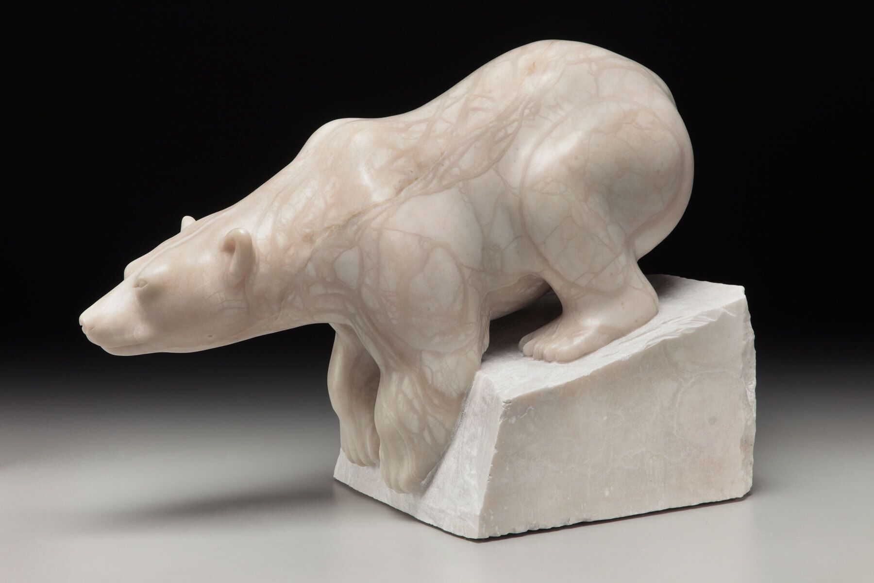 Polar Bear: Leap of Faith