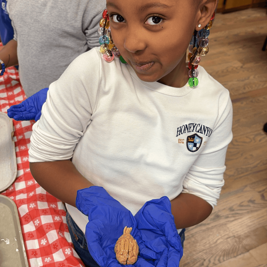 March Update: Brains & Move-in Kits, Oh My!