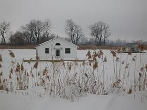 Daily Prayer January 10