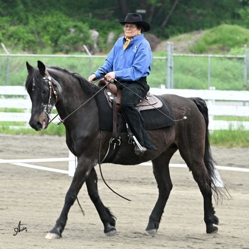 CZ Reins and Romero (WA)