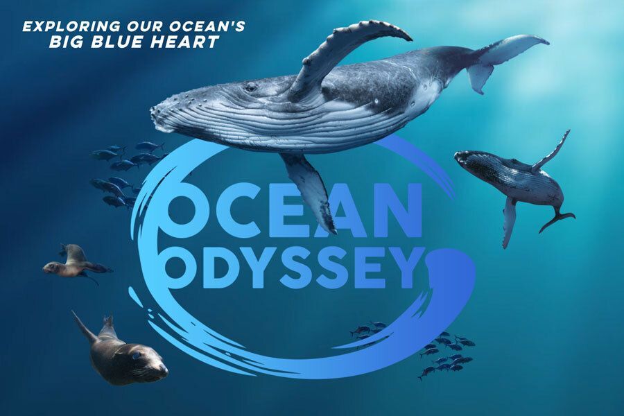 New Full-Dome Show: Ocean Odyssey!