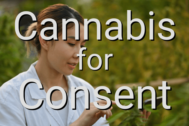 Cannabis for Consent