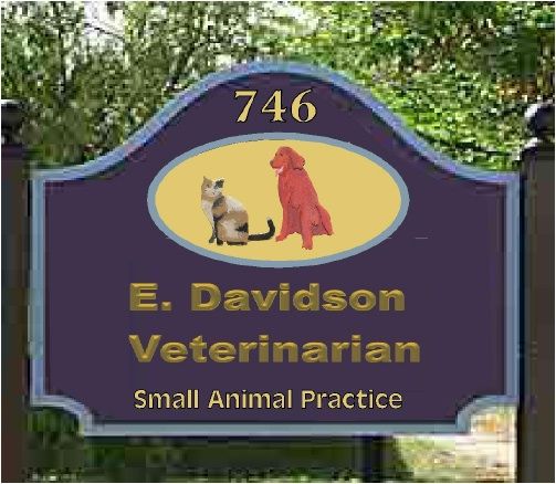BB11765 – Carved HDU Entrance Sign to Veterinary Office and Clinic with Irish Setter and Calico Cat