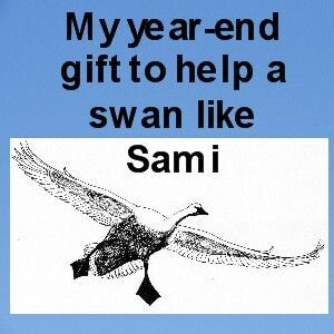 Deadline Dec 31! Keep a swan safe and secure