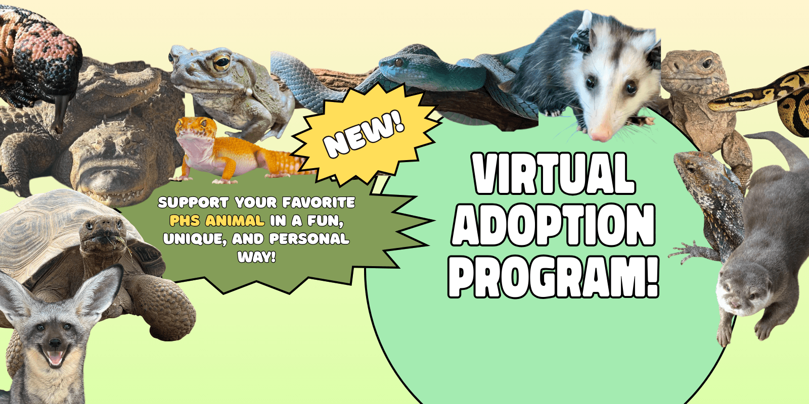 Virtual Adoptions