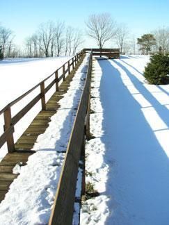 Daily Prayer February 7