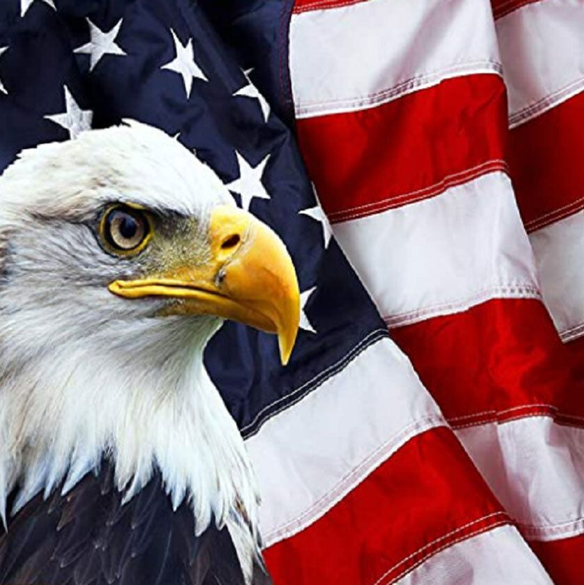 Eagle with American Flag behind it.