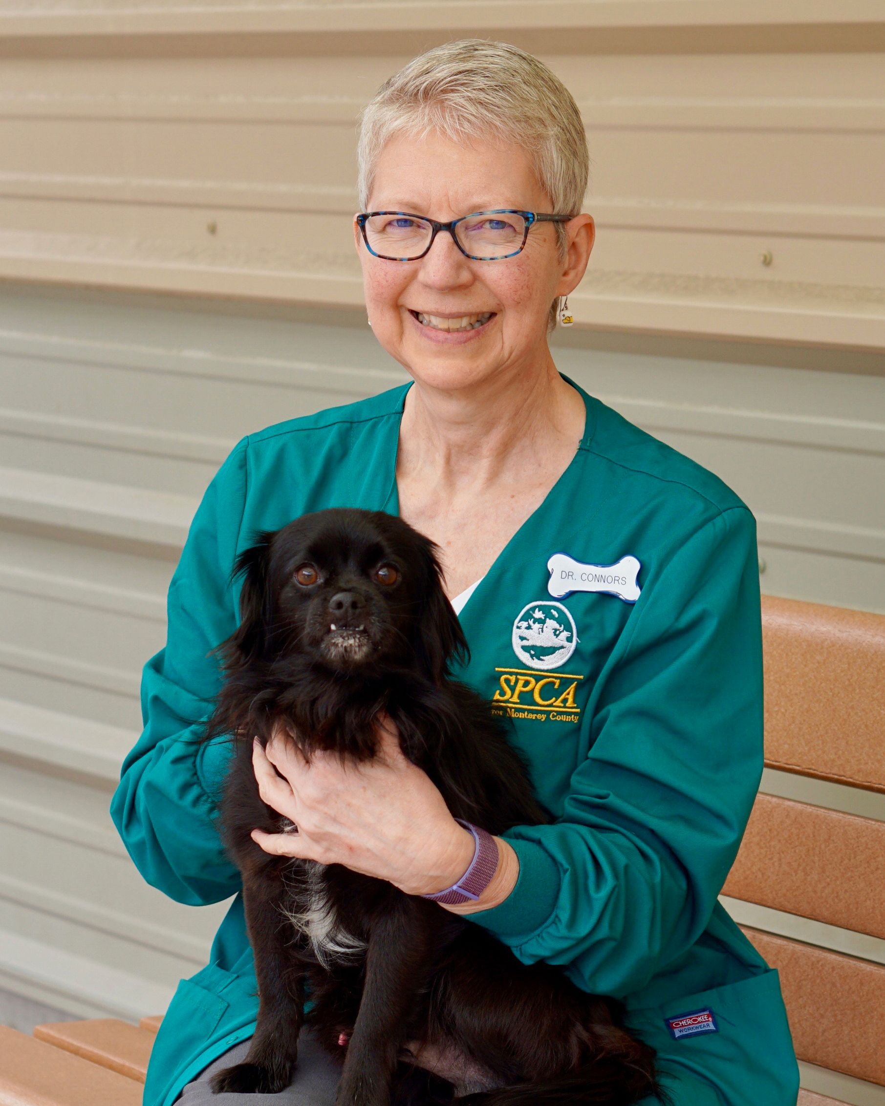 SPCA for Monterey County Veterinary Team