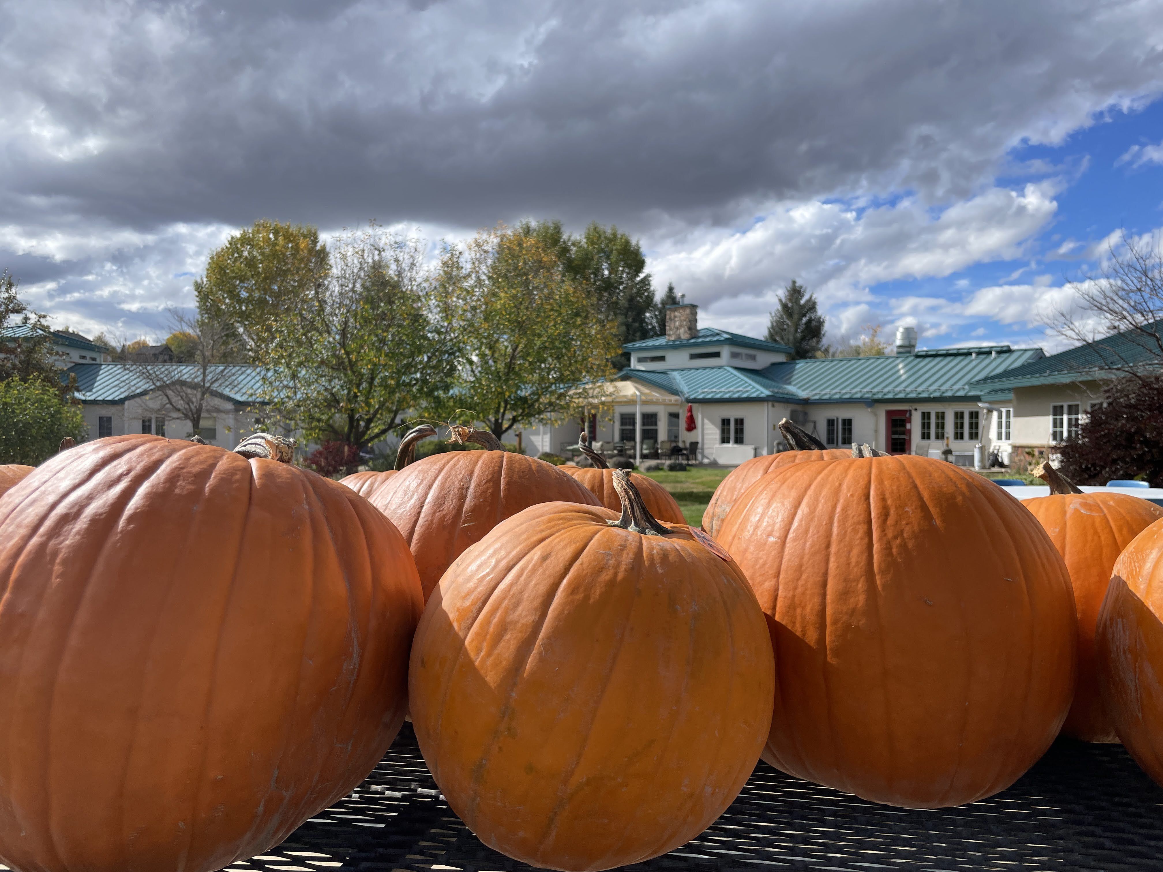 Pumpkins outside The Haven Assisted Living in Hayden, CO outside of Steamboat Springs and Craig