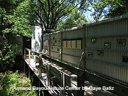 Armand Bayou Nature Center