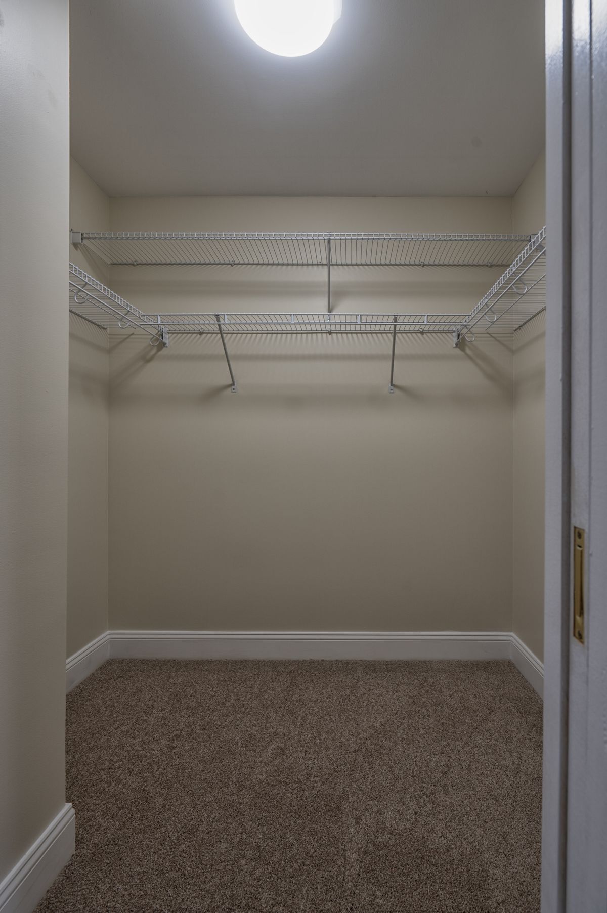 CatamountA walk-in closet