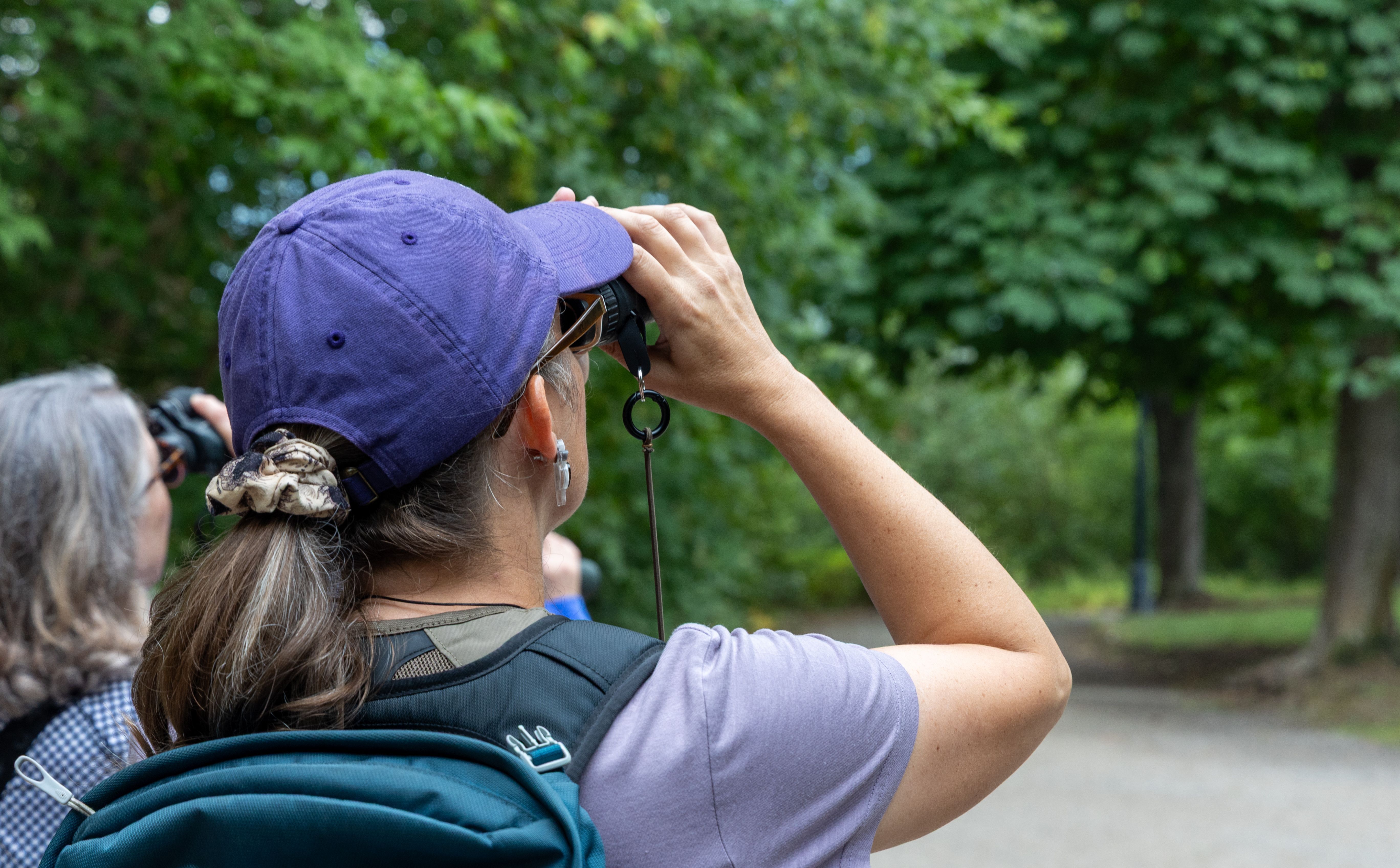 Image of a wide dirt trail on WRI campus.