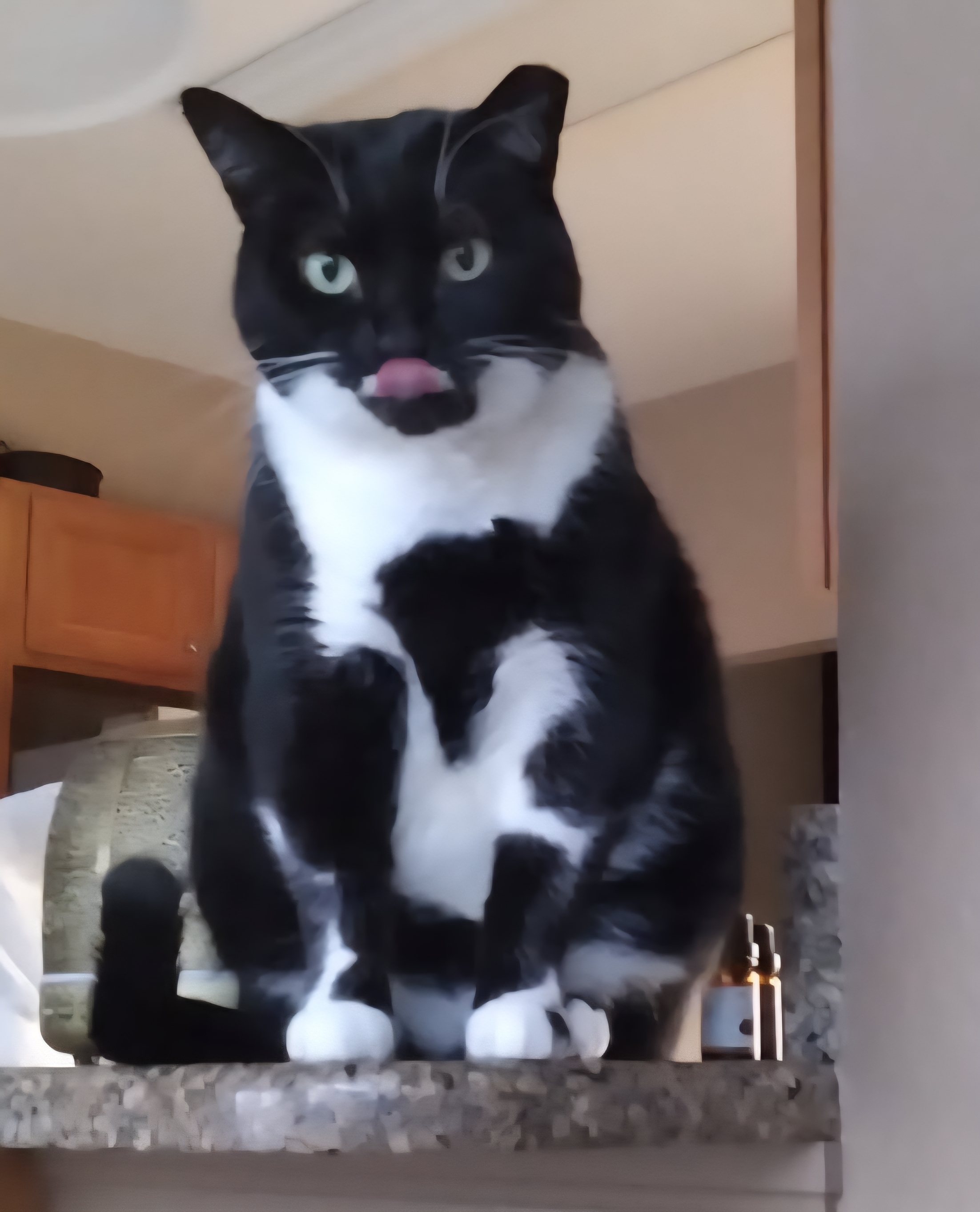 Mae