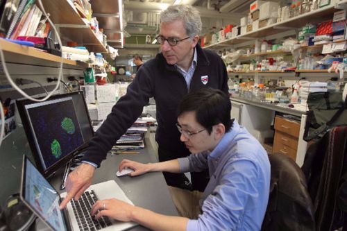 Semma Therapeutics Raises $44 Million to Commercialize T1D Stem-Cell Research from Doug Melton’s Harvard Lab