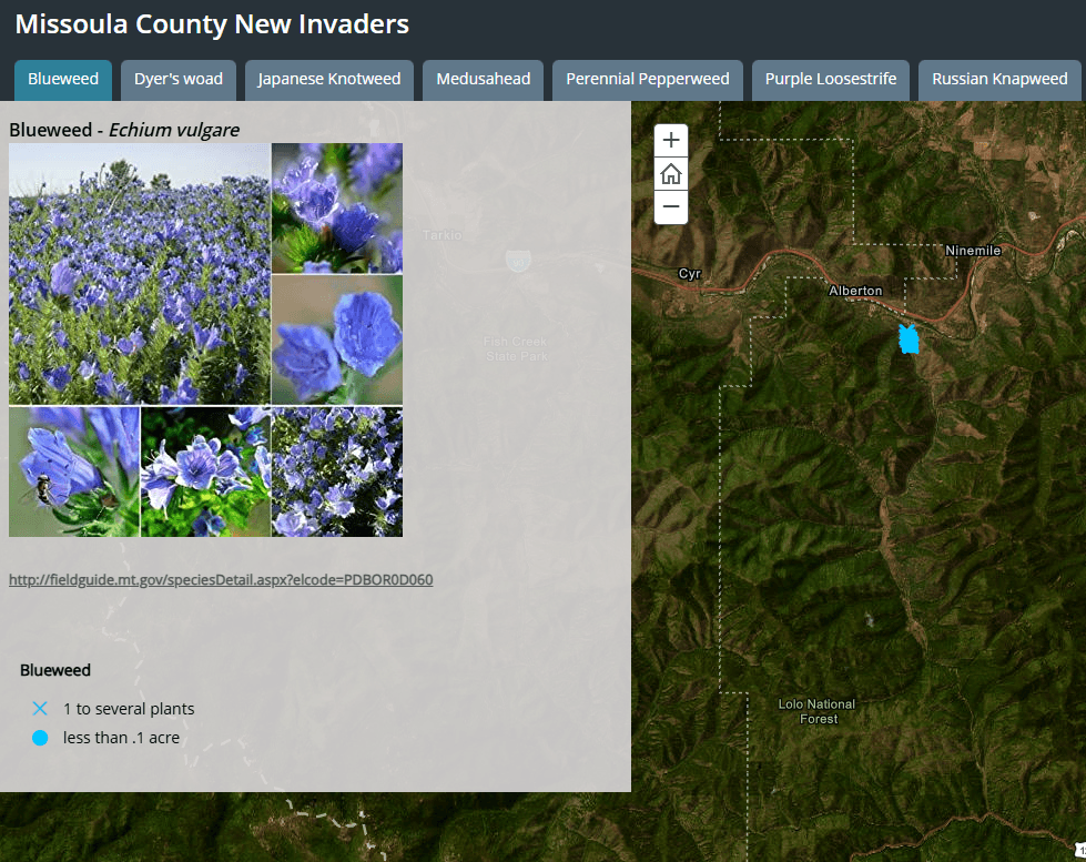 New Invader Species Interactive Map