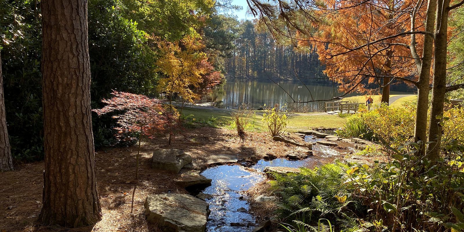 Aldridge Gardens Nature & Art Hoover, Alabama