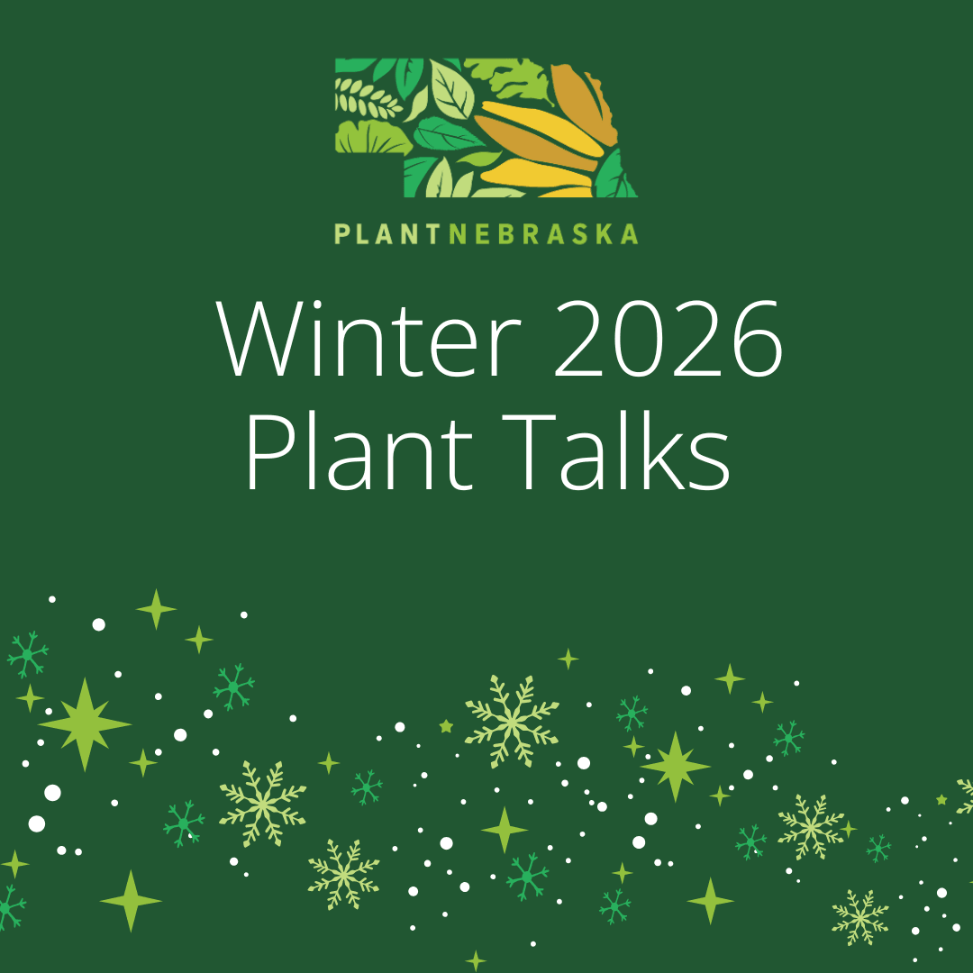 A green background with the PlantNebraska logo and a scattering of green stars to promote the Plant Talks series. 