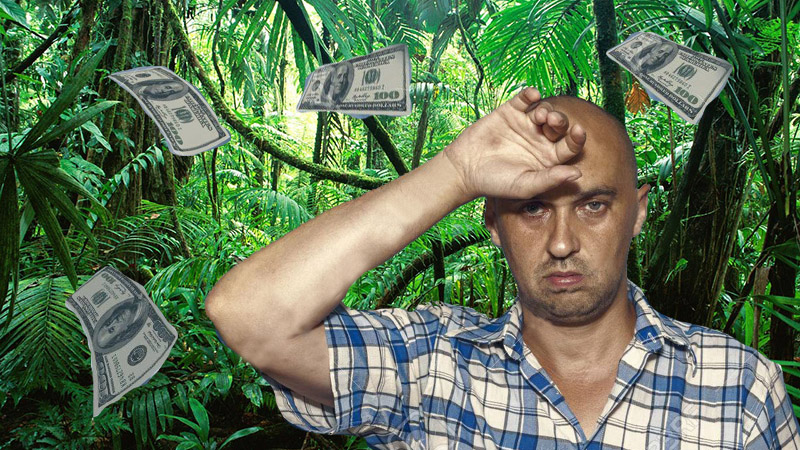 Caught in the financial jungle?