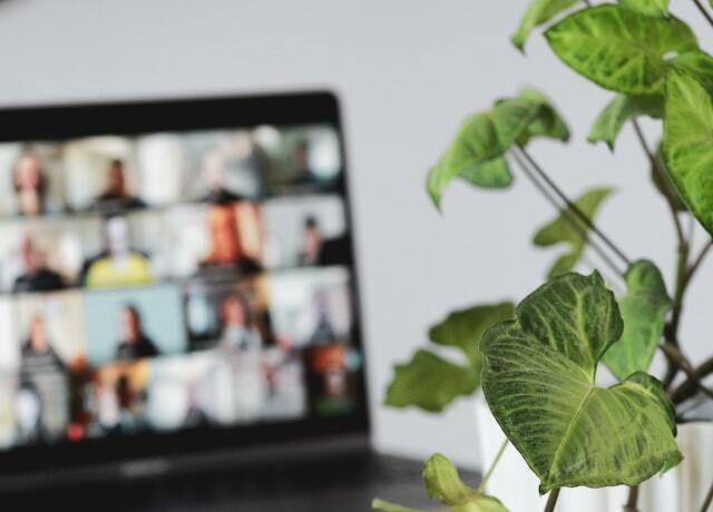 A laptop displaying a virtual meeting. A plant sits next to it.