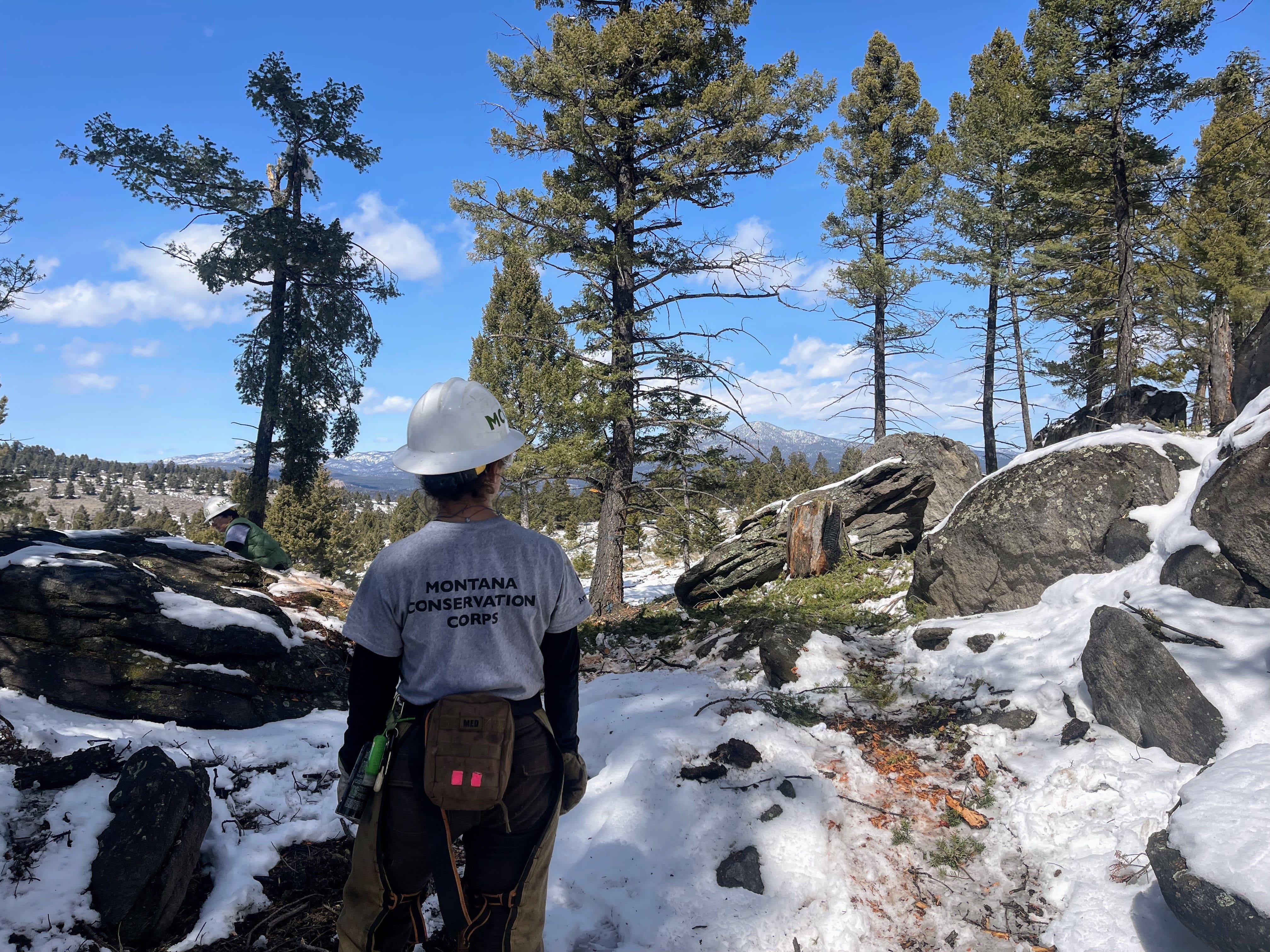 A crew leader wearing a white helmet faces away from the camera. "Montana Conservation Corps" is written on the back of their t-shirt.