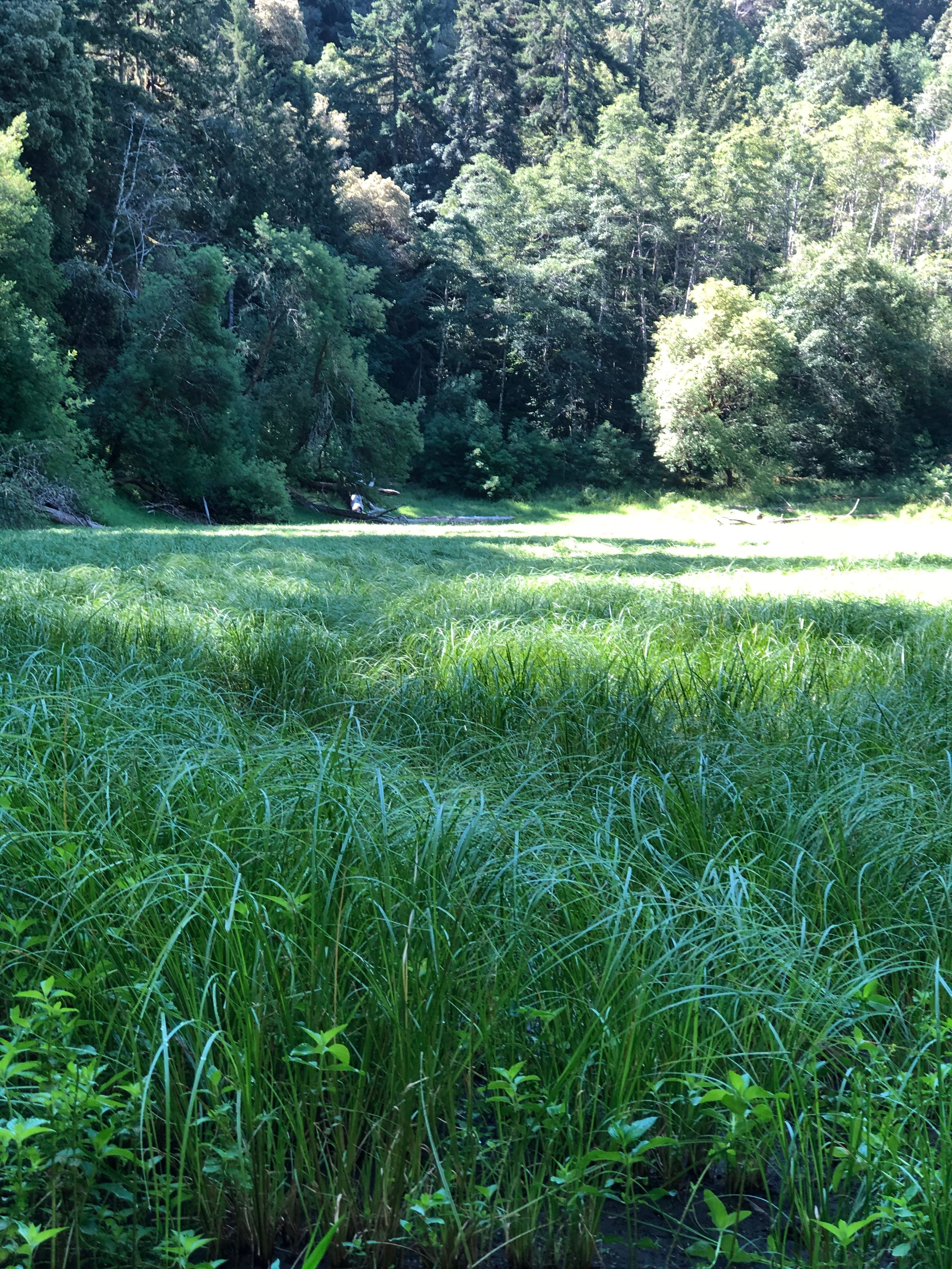 Raven Ridge - Wild Rivers Land Trust’s Newest Conservation Easement