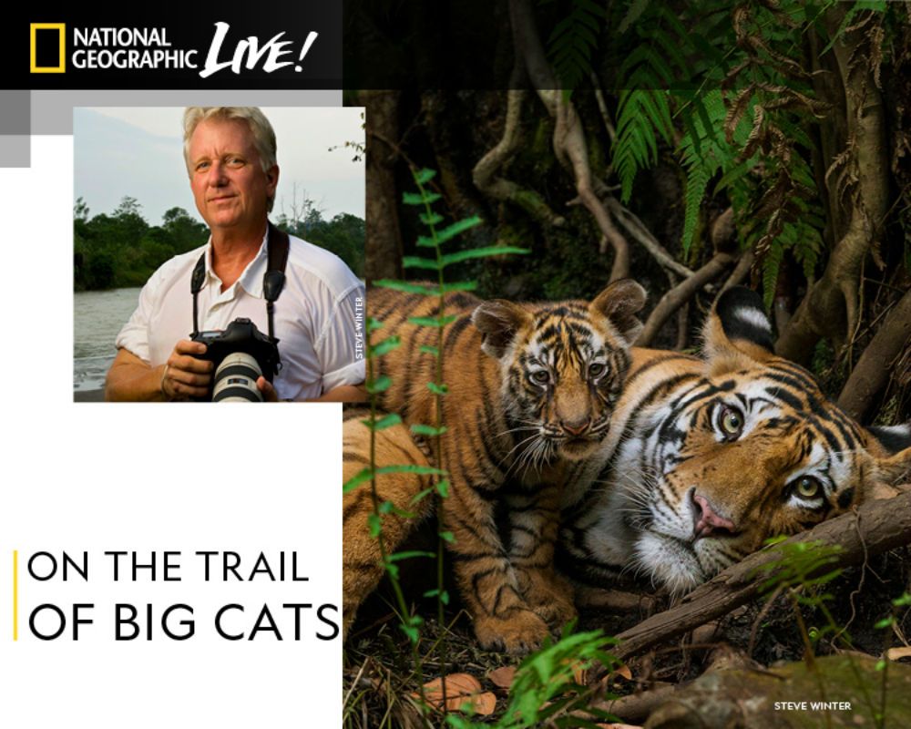 Steve Winter: On the Trail of Big CatsĀ