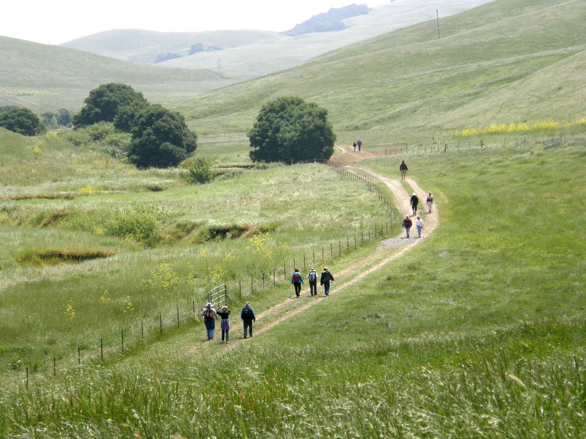 Lynch Canyon : Protected Lands : Solano Land Trust