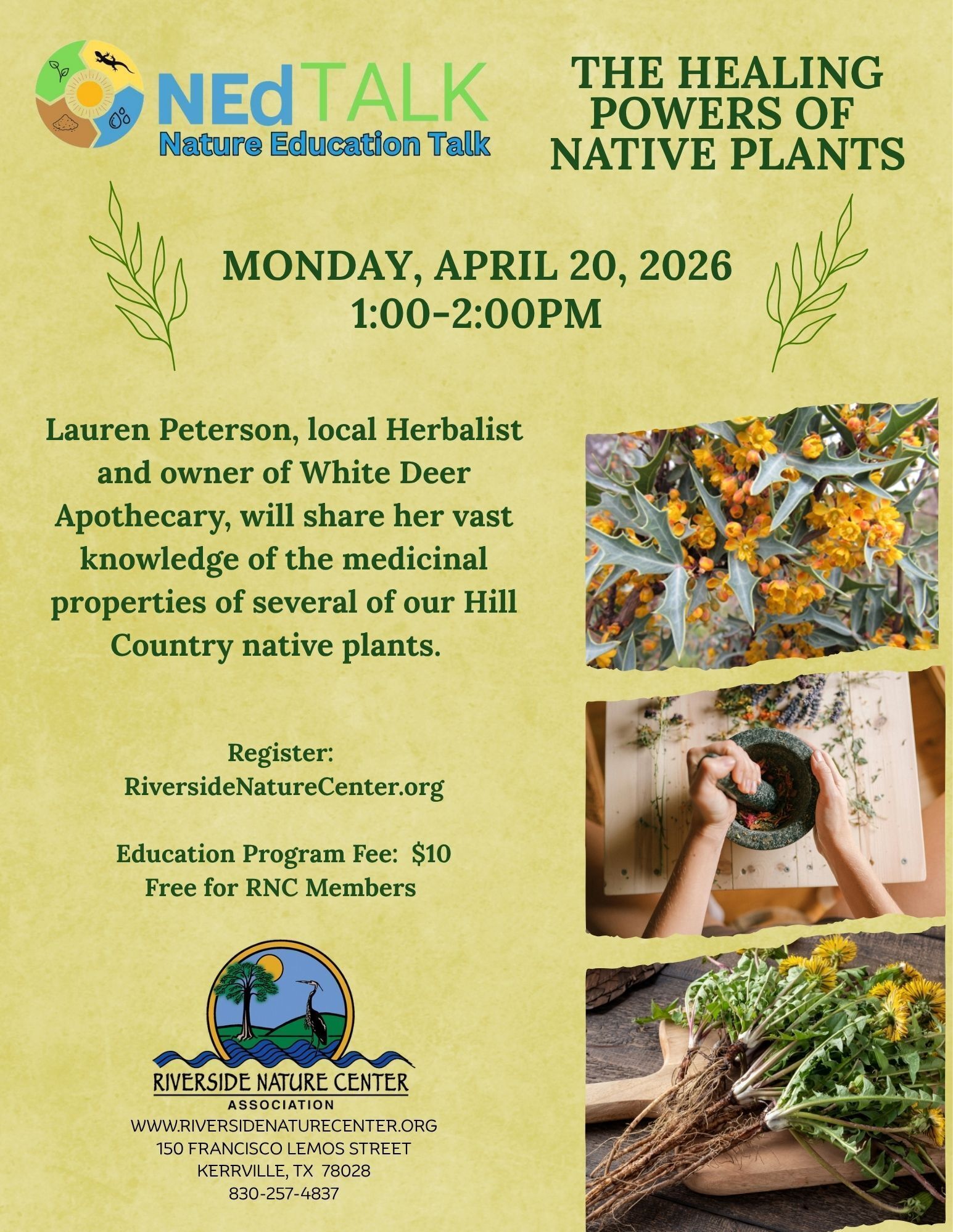 Lauren Peterson, Herbalist, White Deer Apothecary, medicinal native plants, kerrville events near me, NEd Talk, Nature Education Talk , The Healing Powers of Native Plants, Nature Lover, Riverside Nature Center, things to do in kerrville, nature tips