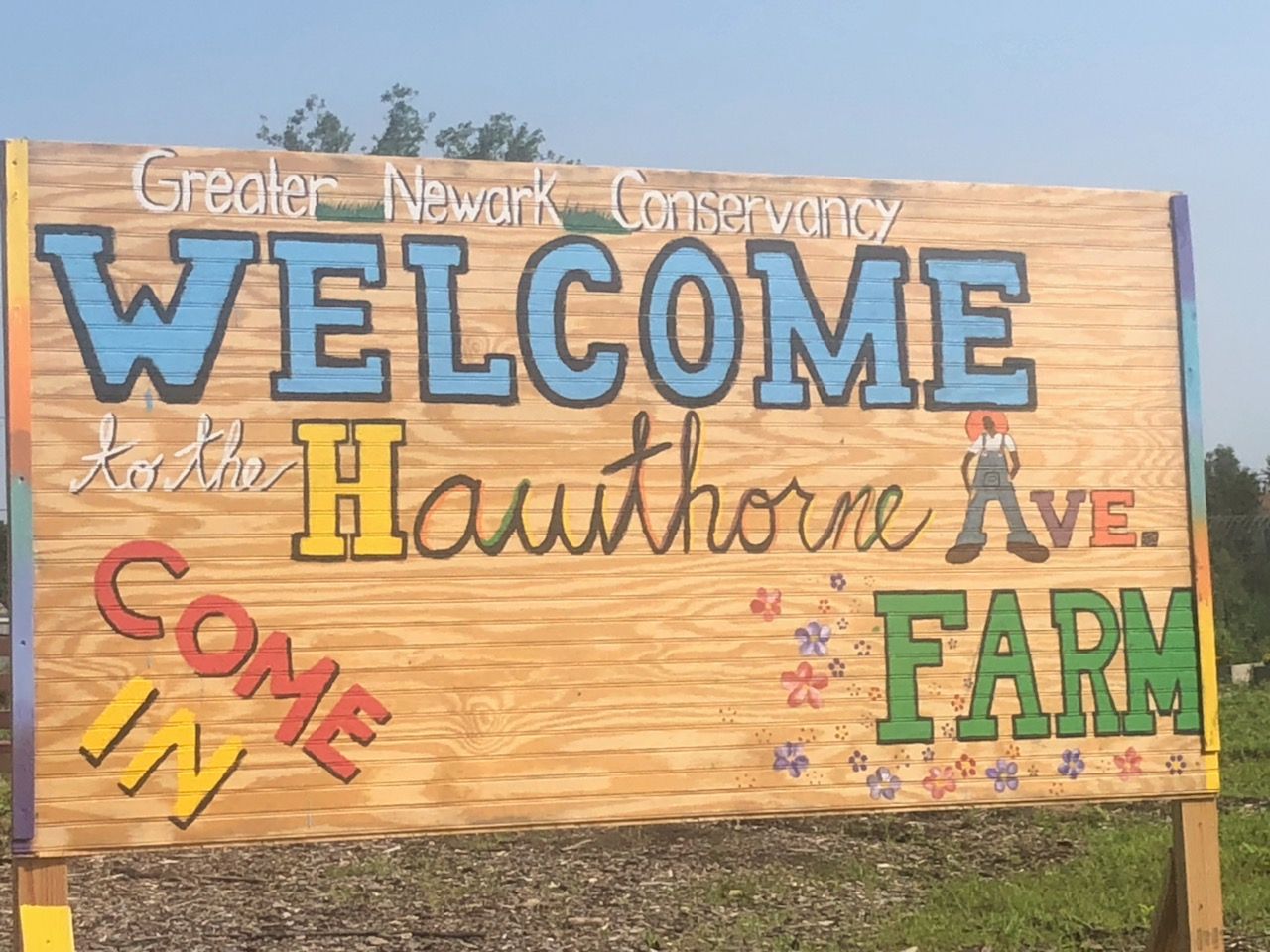 Summer Harvest in Full Swing at Hawthorne Avenue Farm : The