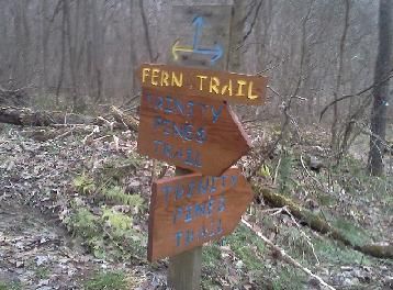 Trail Sign Eagle Scout Project (2012)